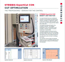 Striebig Control Vertical Panel Saw - Expert Cut Info